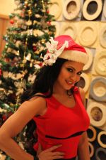 Veena Malik Celebrating Christmas on 20th Dec 2012 (23).JPG
